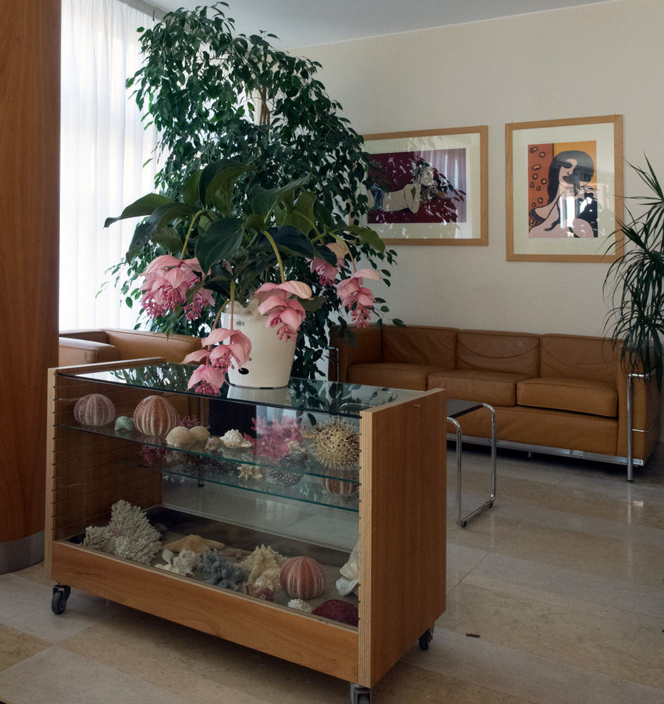 Hotel Rosanna 3 Stelle Superior 리도 디 예솔로 외부 사진
